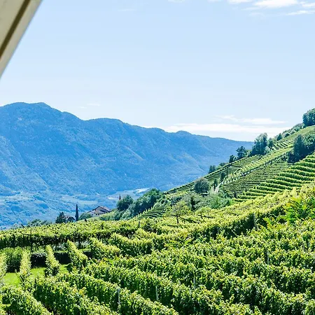 Vineus Tramin Hotel