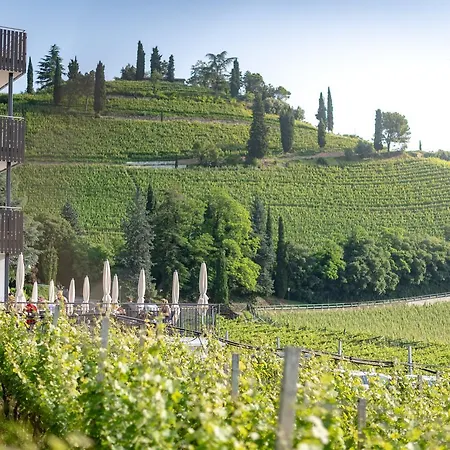 Vineus Tramin 4*